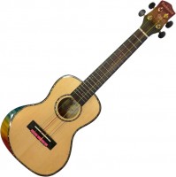 Photos - Acoustic Guitar Parksons UK24EM 