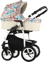 Photos - Pushchair RETRUS Danco Eco  3 in 1