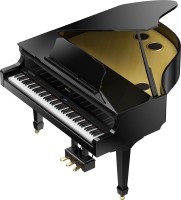 Photos - Digital Piano Roland GP-609 