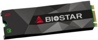 Photos - SSD Biostar M500 M500-512GB 512 GB