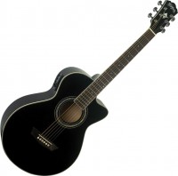 Photos - Acoustic Guitar Washburn EA10 