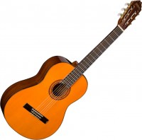 Photos - Acoustic Guitar Washburn C5 