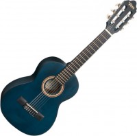 Acoustic Guitar Valencia VC201 