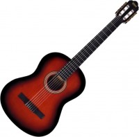 Acoustic Guitar Valencia VC263 