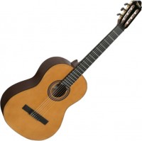 Acoustic Guitar Valencia VC264 