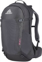 Photos - Backpack Gregory Sula 24 24 L