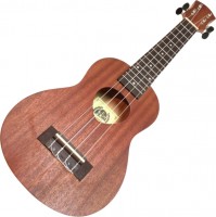 Photos - Acoustic Guitar Avzhezh AUS-121 