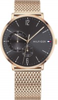 Wrist Watch Tommy Hilfiger 1791506 