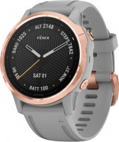 Smartwatches Garmin Fenix 6S  Sapphire
