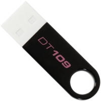 Photos - USB Flash Drive Kingston DataTraveler 109 8Gb 