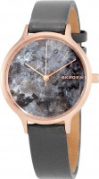 Wrist Watch Skagen SKW2672 
