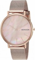 Wrist Watch Skagen SKW2732 