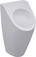 Photos - Urinal Villeroy & Boch Architectura 558600 