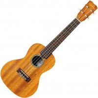 Acoustic Guitar Cordoba 20CM 