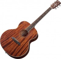 Acoustic Guitar Framus FJ 14 M 