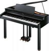 Photos - Digital Piano Roland RG-1F 