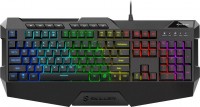 Photos - Keyboard Sharkoon Skiller SGK4 