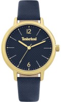 Wrist Watch Timberland TBL.15960MYG/03 