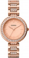 Wrist Watch FOSSIL BQ3181 