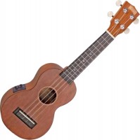 Acoustic Guitar MAHALO MJ1VTT 