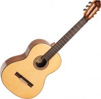Acoustic Guitar Valencia VC564 