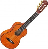 Acoustic Guitar Ortega RGL18FMH 