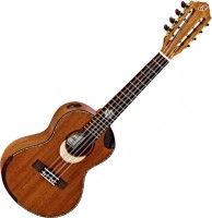 Acoustic Guitar Ortega ECLIPSE-TE8 