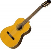 Photos - Acoustic Guitar Esteve 11 SP 