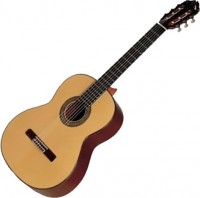 Photos - Acoustic Guitar Esteve 12 CD 