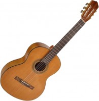 Photos - Acoustic Guitar Salvador Cortez CC-06 