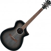 Acoustic Guitar Ibanez AEWC11 