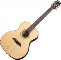 Acoustic Guitar Framus FG 14 SV 