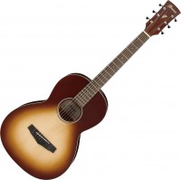 Photos - Acoustic Guitar Ibanez PN19 