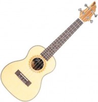 Photos - Acoustic Guitar FLYCAT C20C 