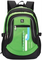 Photos - School Bag Brauberg 225524 