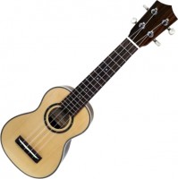 Photos - Acoustic Guitar Prima M350C 