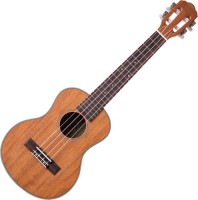 Photos - Acoustic Guitar Prima M380S 