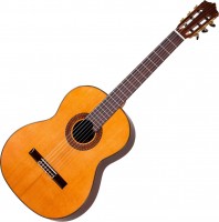 Photos - Acoustic Guitar Martinez MC-88C 