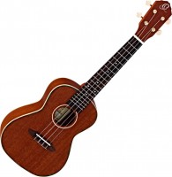 Photos - Acoustic Guitar Ortega RU11 