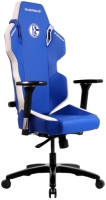 Photos - Computer Chair QUERSUS Evos 300 