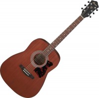 Acoustic Guitar Ibanez V54NJP 