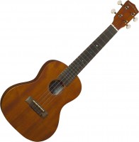 Photos - Acoustic Guitar Diamond Head DU-200C 