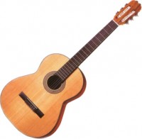 Photos - Acoustic Guitar ALVARO 70 