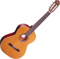 Acoustic Guitar Ortega R200 