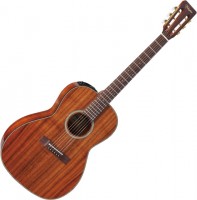 Acoustic Guitar Takamine EF407 