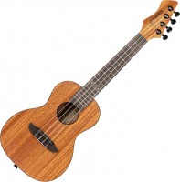 Acoustic Guitar Ortega RUHZ-MM 