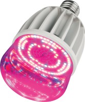 Photos - Light Bulb Uniel LED-M80-20W/SP/E27/CL ALS55WH 