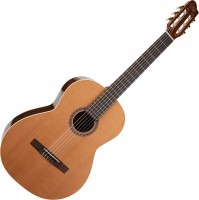 Photos - Acoustic Guitar Godin Collection 