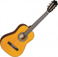 Acoustic Guitar Encore ENC12 
