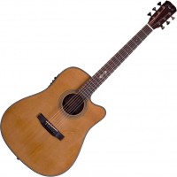 Photos - Acoustic Guitar Prima DSAG219CEQ4 